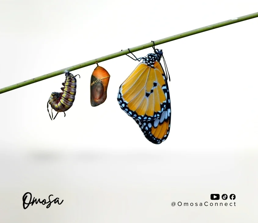 Love that Transforms